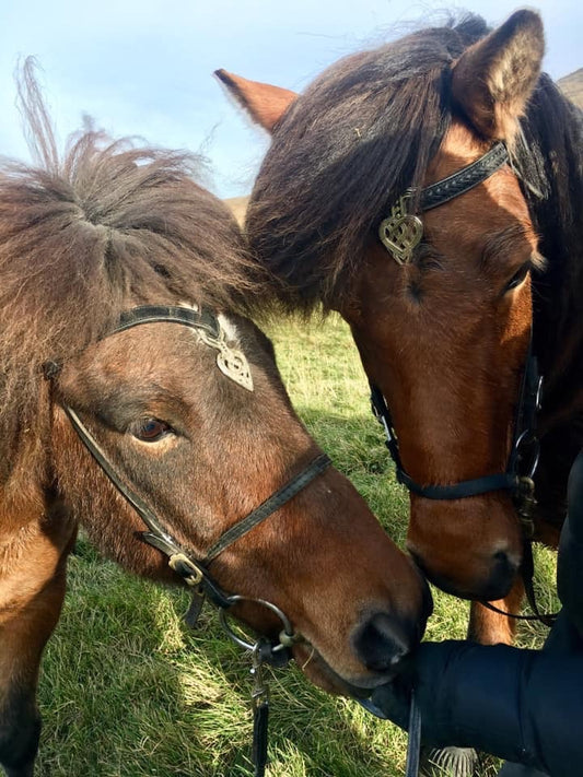 Reiðtygi - Höfuðleður eftir Hugrúnu