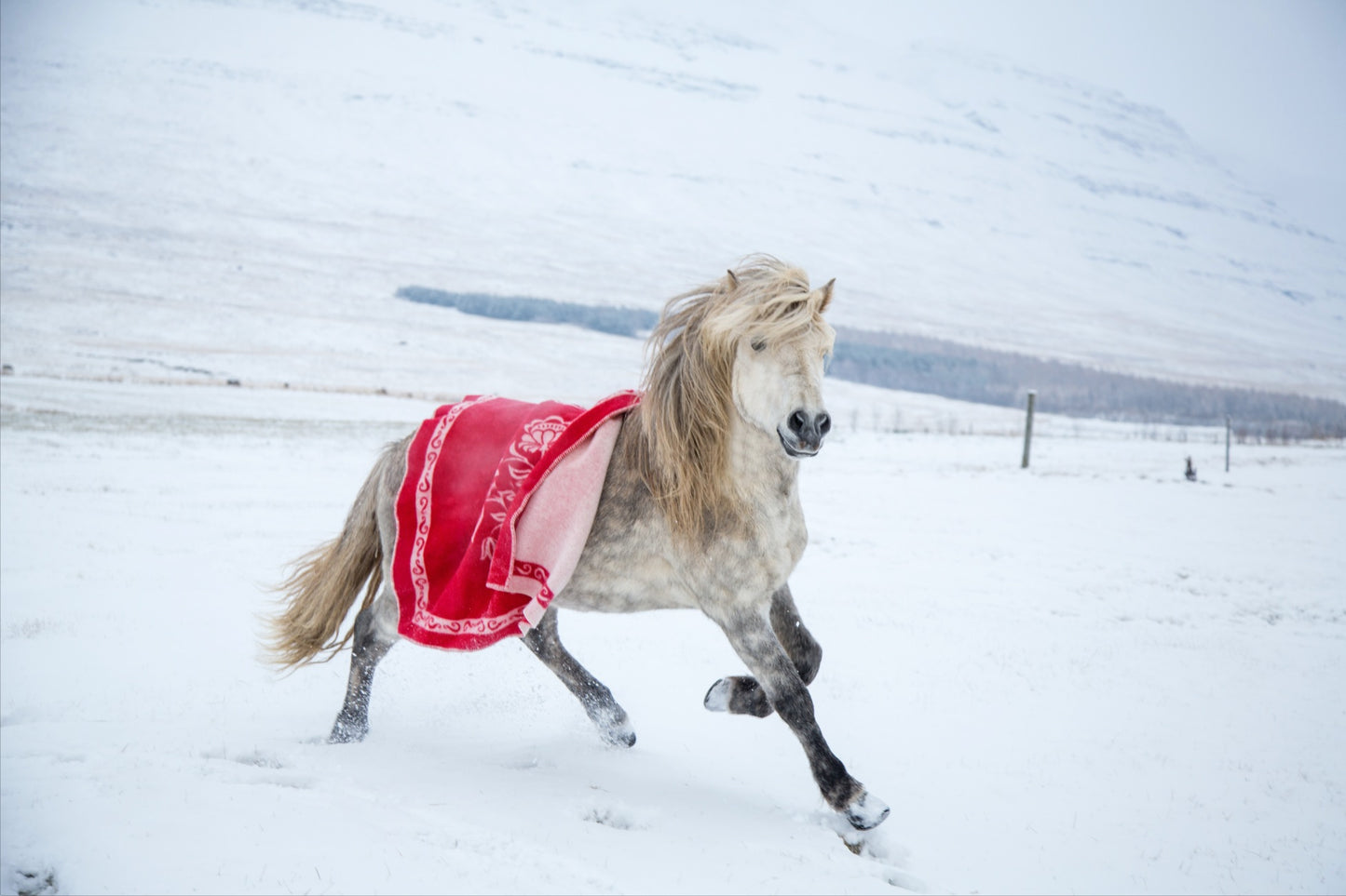 Teppi eftir Hugrúnu
